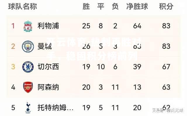 热刺再胜对手，稳固积分榜前列